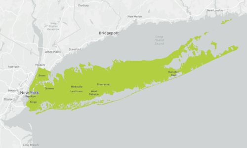ny_v5